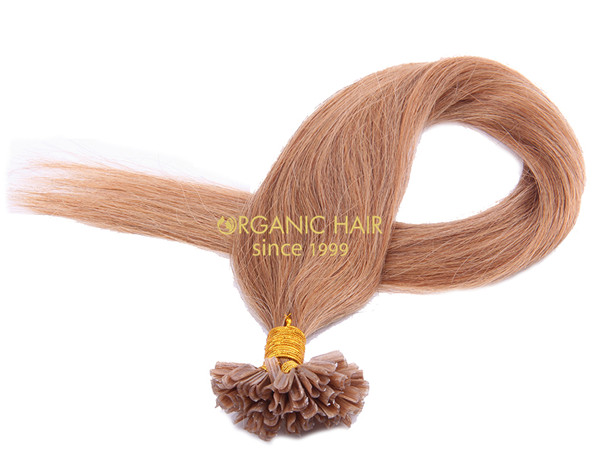 Human hair saga remy hair extensions manufacturer #12 Human hair saga remy hair extensions manufacturer #12